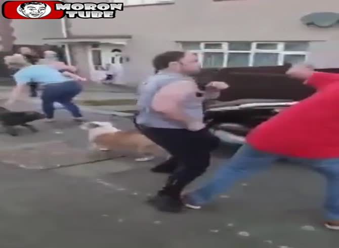 Video :He knocks out his neighbor softly